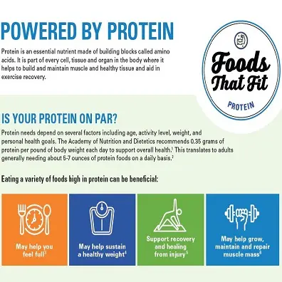 Foods that Fit Protein Infographic