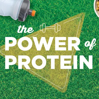 The power of protein