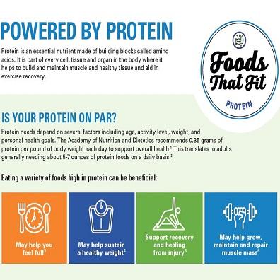 Foods that Fit Protein Infographic